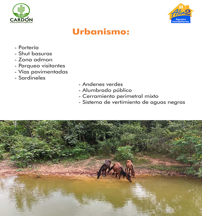 PORTAFOLIO CARDON ALIA2.cdr