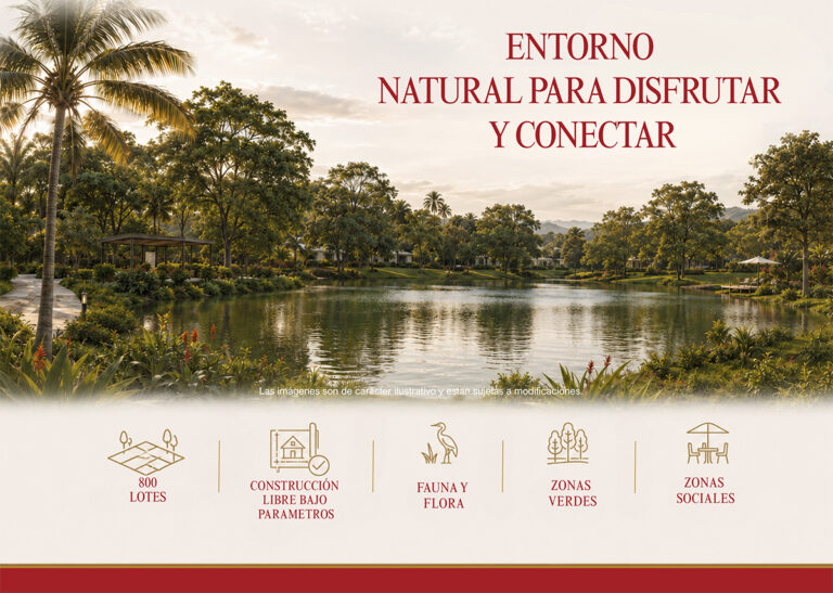 BROCHURE MONTECARLO Alia2